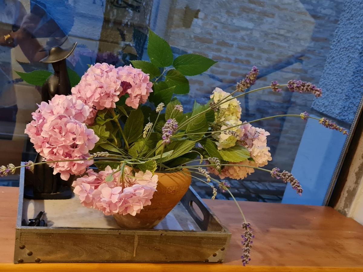 Garden Center Apartment Újvidék Kültér fotó